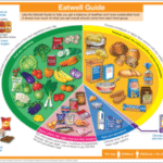 Supplements: The Essential Guide to a Balanced Diet