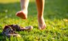Barefoot Footwear’s Orthopaedic Effects on Children’s Feet