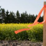 Subdivision Surveys: Essential Guide for Land Division in Clyde North