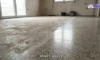 Grinding and Polishing Terrazzo: Transforming Edinburgh Homes