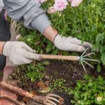 Weeding Services: Top Tips and Providers in Queen Camel