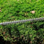 Best Practices for Trimming Hedges in Queen Camel Gardens