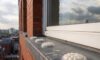 Spike-Free Gel Repellent Options for Bird Proofing Solutions