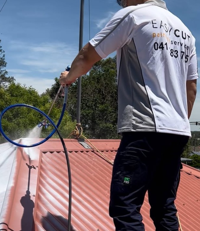 Metal Roof Painting Insights from a Hills District Expert
