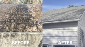 Explore the Essential Role of Soft Washing in Comprehensive Home Maintenance
