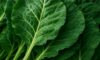Healthy Slow Cooked Collard Greens Recipe for Dinner