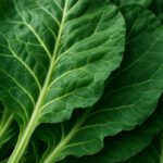 Healthy Slow Cooked Collard Greens Recipe for Dinner