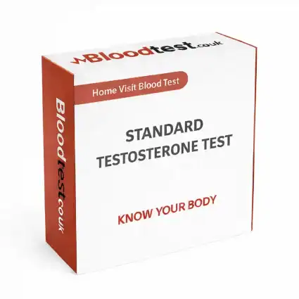 Low Testosterone Blood Test: What to Expect in Bristol
